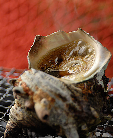 Shellfish Pottery Grilled Sazae