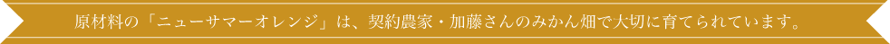 契約農家・加藤さん