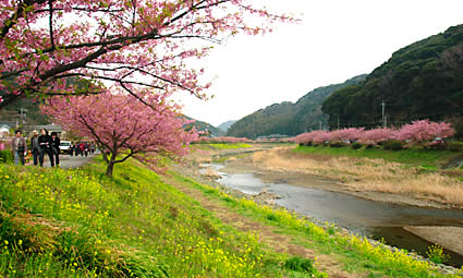 のどかで美しい青野川