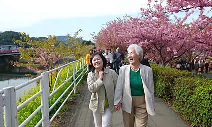 のんびり歩く川沿いの並木道