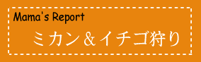 ミカン＆イチゴ狩り