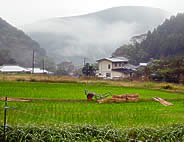 田園風景